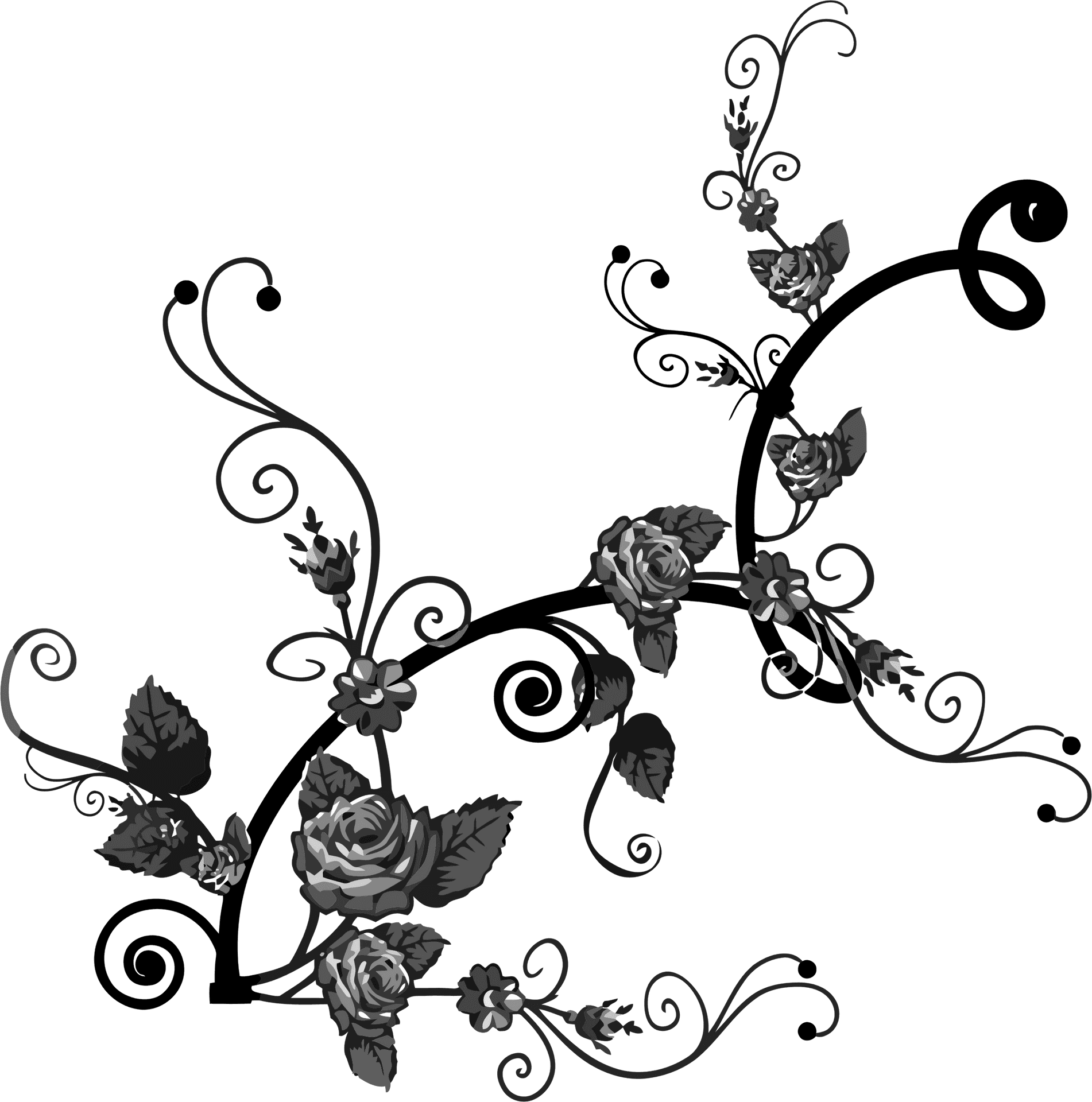 Elegant Black Floral Flourish Design PNG