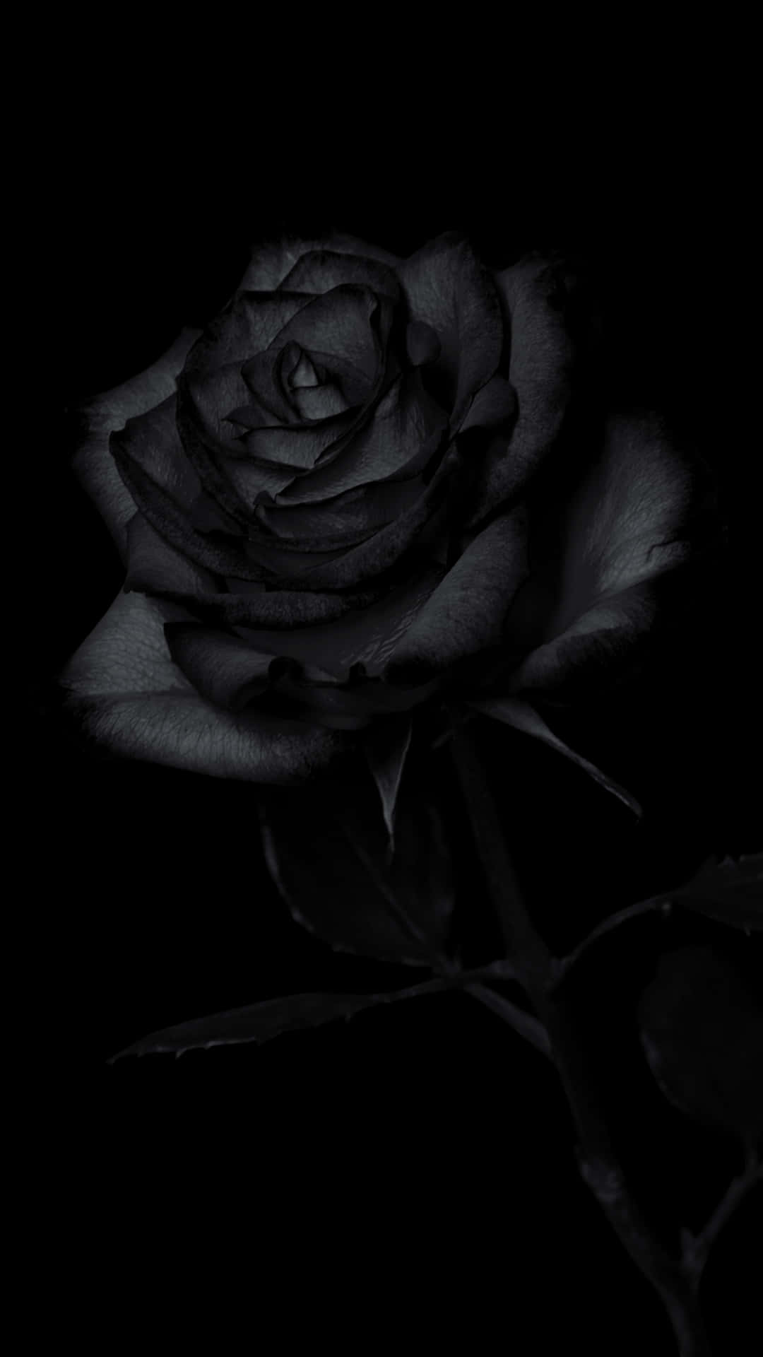 Elegant Black Iphone Background