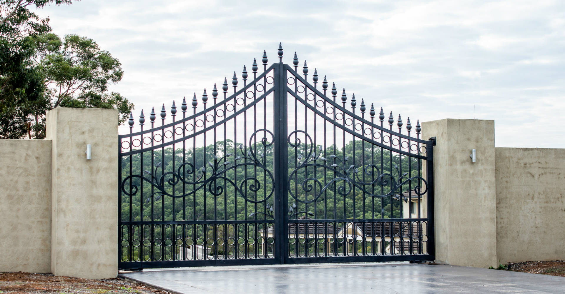 Elegant Black Ornamental Iron Gate Picture