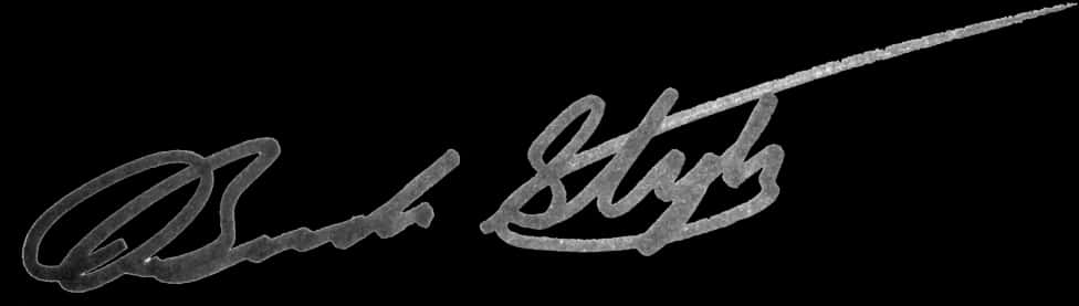 Elegant Black Signature PNG