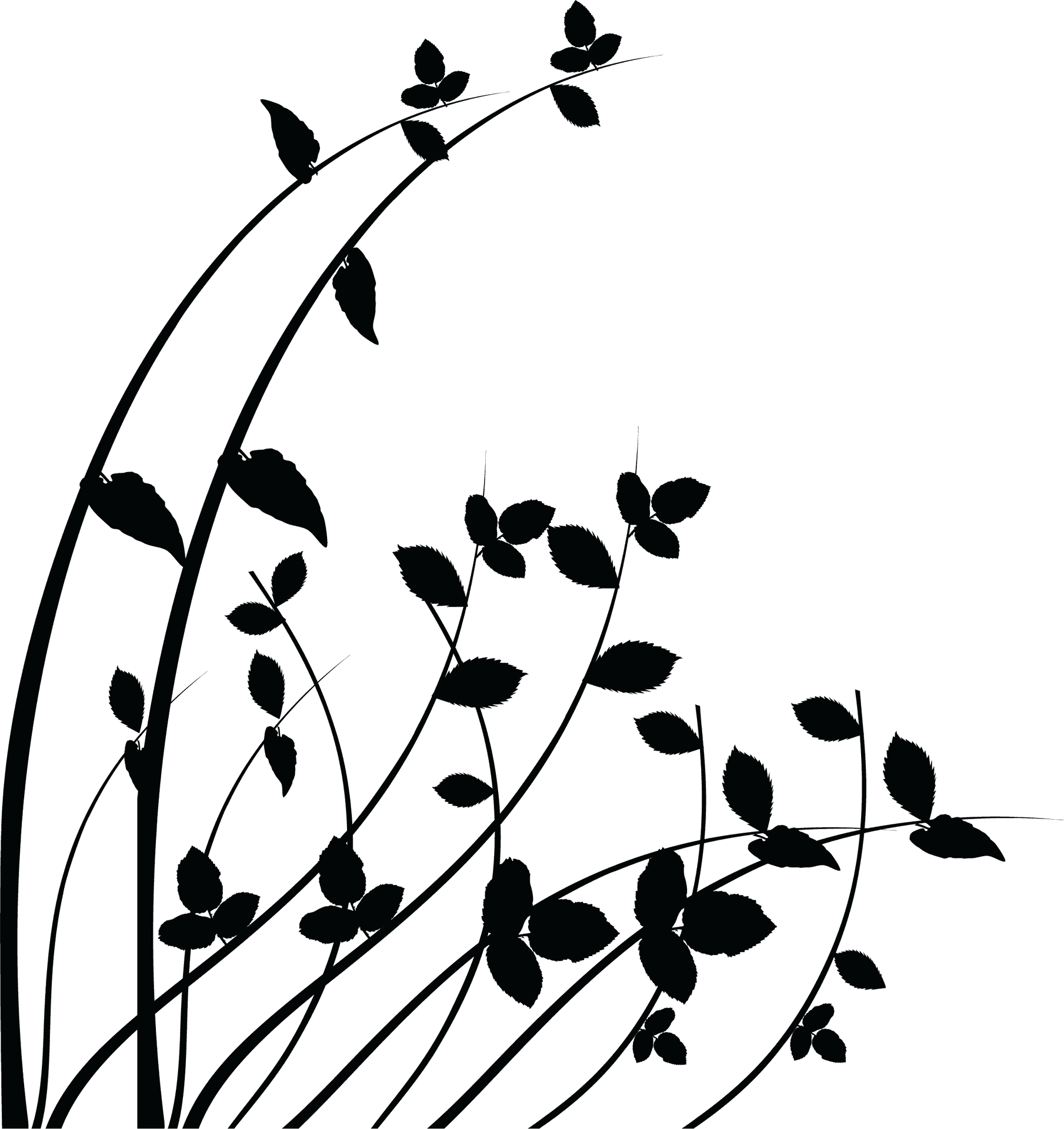 Elegant Black Silhouette Floral Art PNG