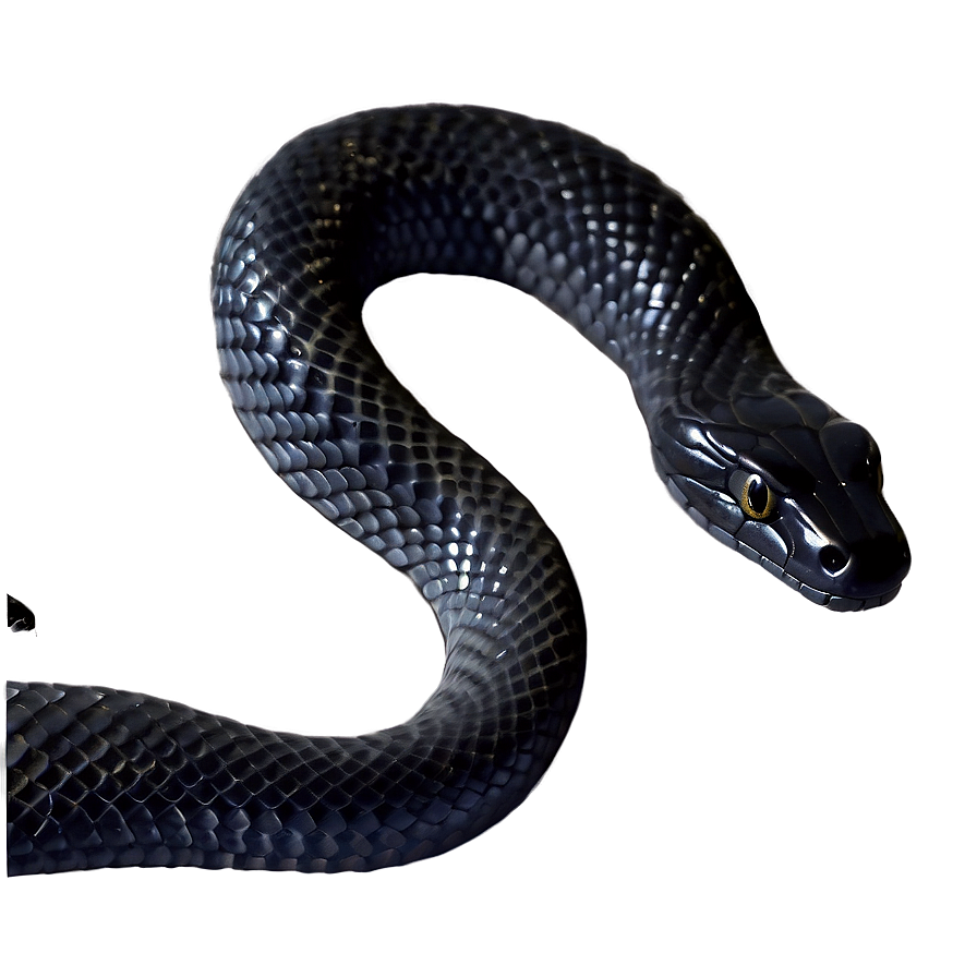 Elegant Black Snake Png 27 PNG