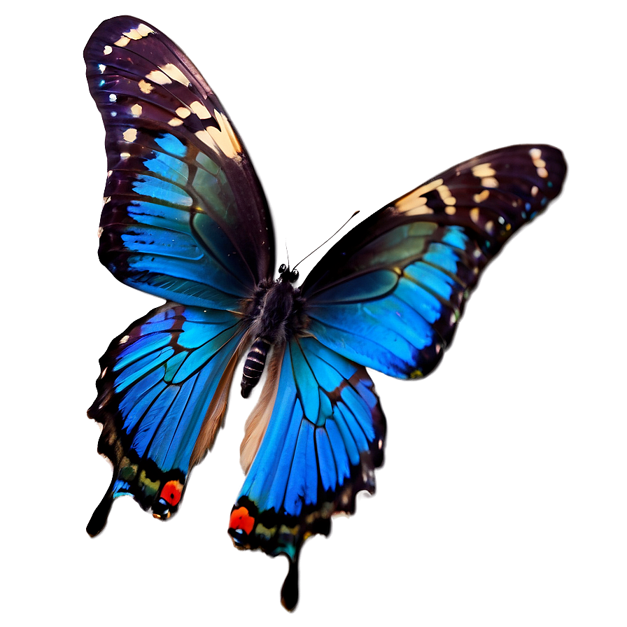 Elegant Blue Butterfly Png 9 PNG