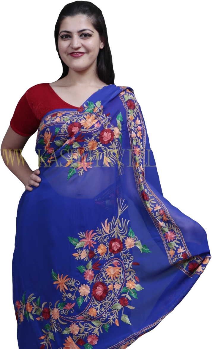 Elegant Blue Embroidered Saree Model PNG