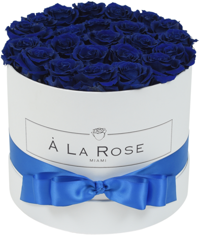 Elegant Blue Rosesin White Box PNG
