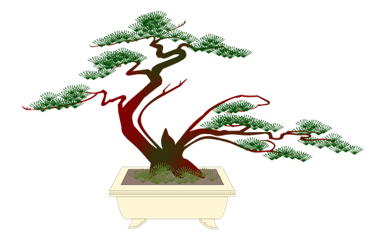 Elegant Bonsai Tree Illustration PNG