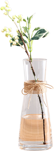 Elegant Branchin Glass Vase PNG