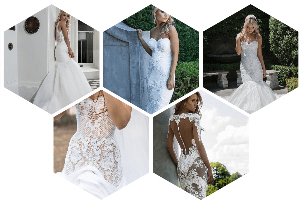 Elegant Bridal Gowns Collage PNG
