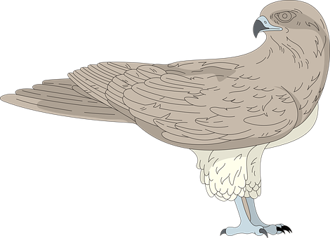 Elegant Brown Bird Illustration PNG