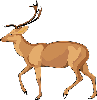 Elegant Brown Deer Illustration PNG