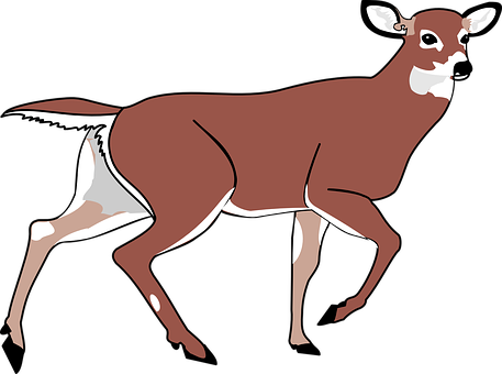 Elegant Brown Deer Illustration PNG