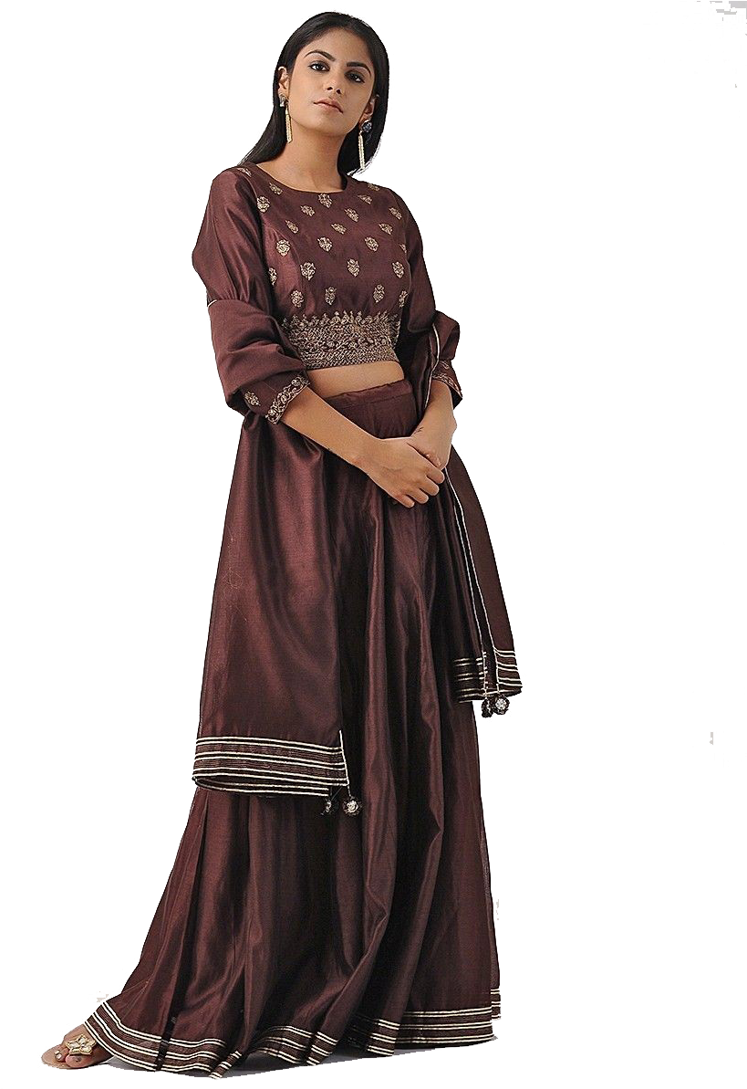 Elegant Brown Lehenga Choli Design PNG