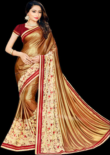 Elegant Brown Saree Model PNG