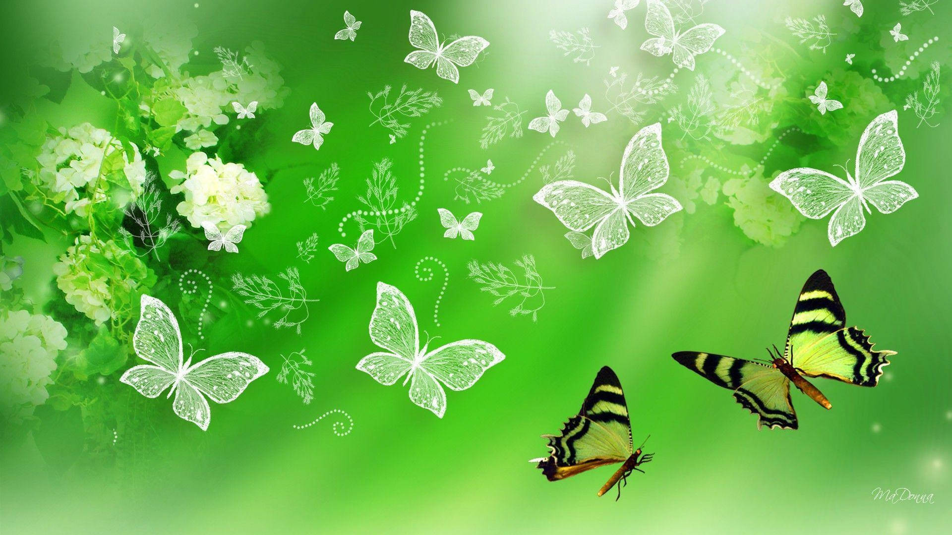 Elegant Butterfly Aesthetic Wallpaper