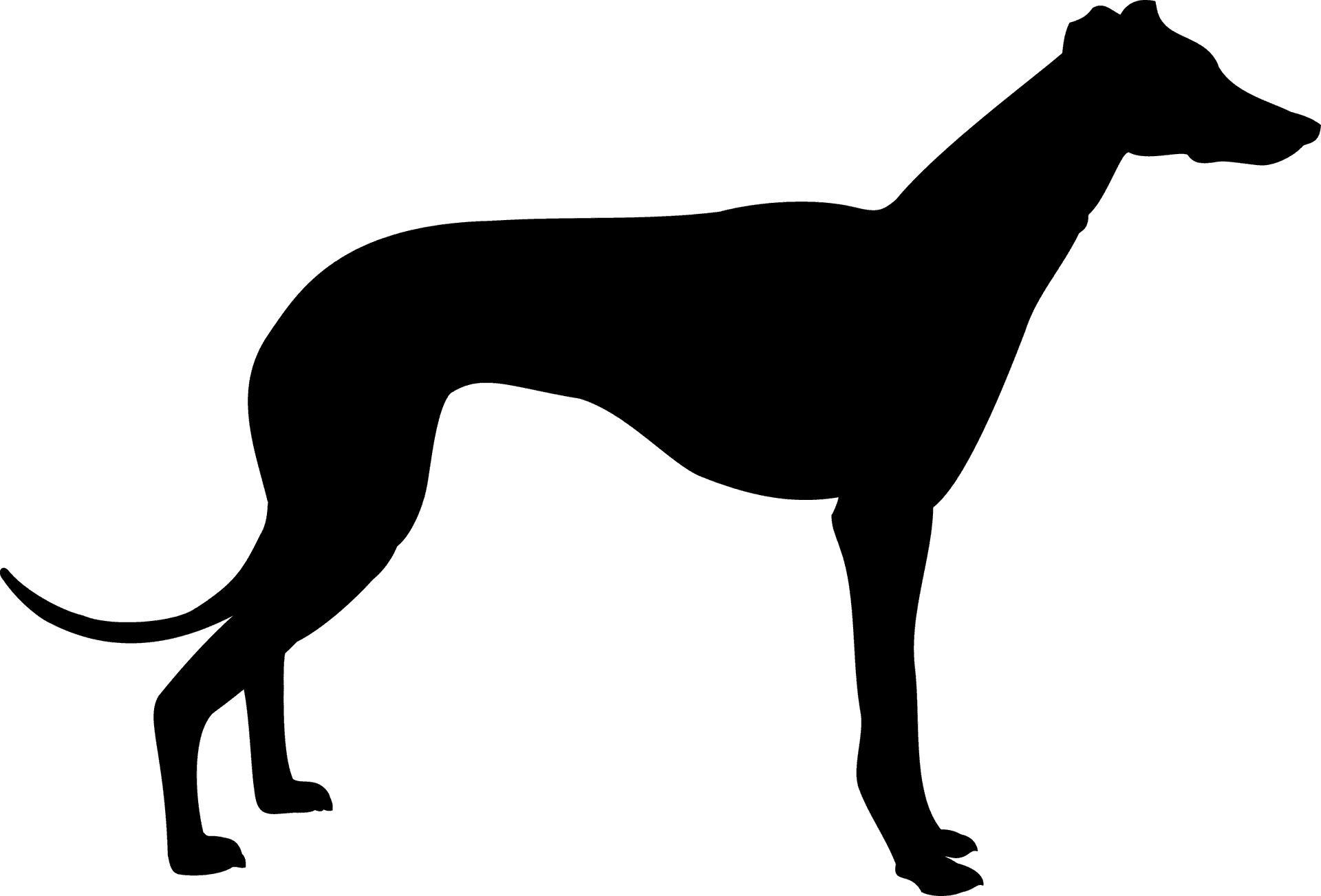 Elegant Canine Silhouette PNG