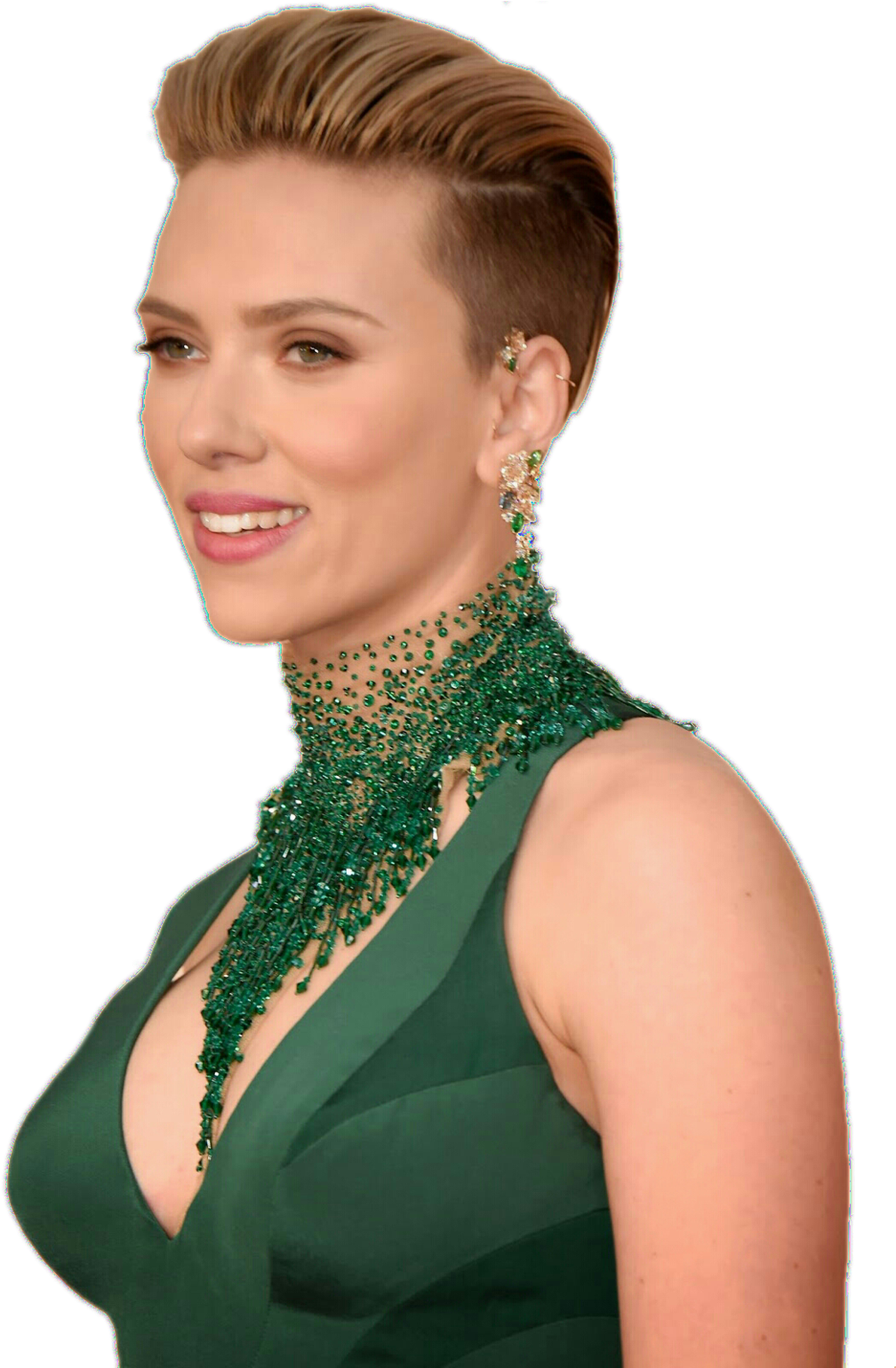 Elegant Celebrity Green Dress PNG