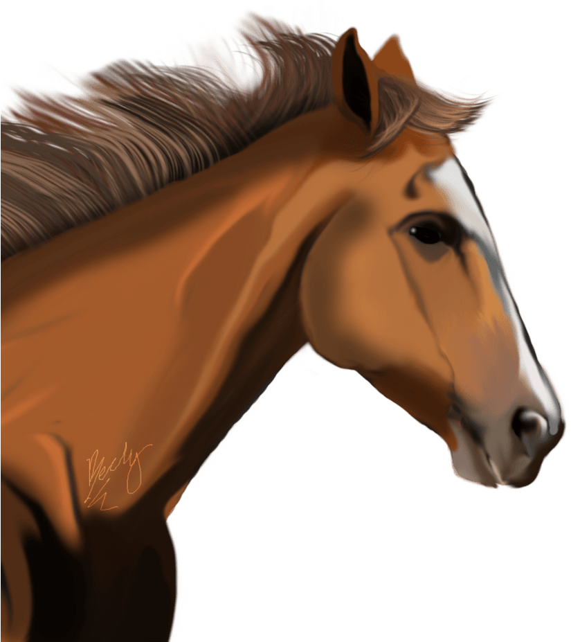 Download Elegant Chestnut Horse Portrait | Wallpapers.com