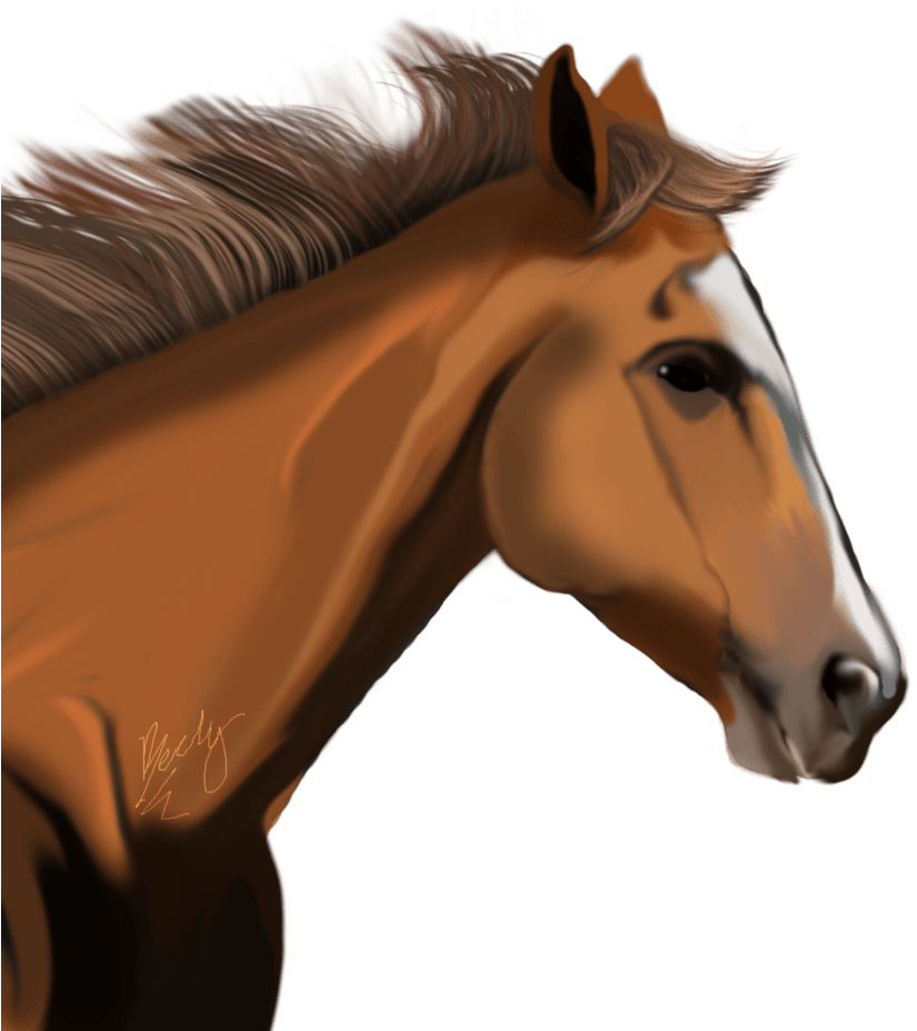 Elegant Chestnut Horse Portrait PNG