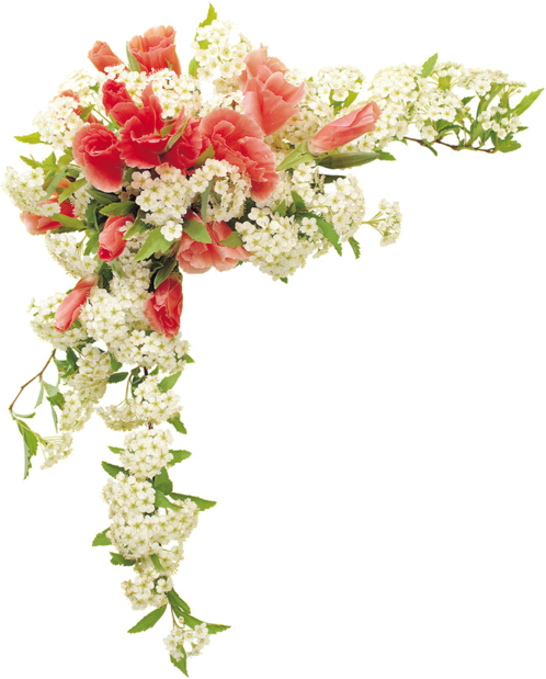 Elegant Corner Flower Design.png PNG