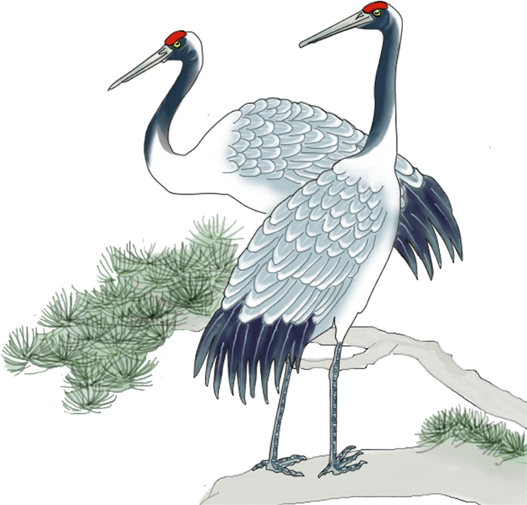 Elegant Cranes Illustration PNG