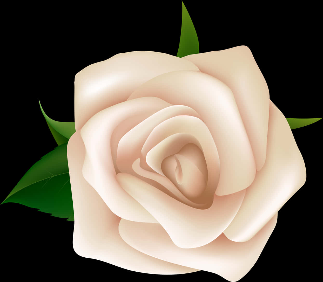 Elegant Cream Rose Illustration PNG