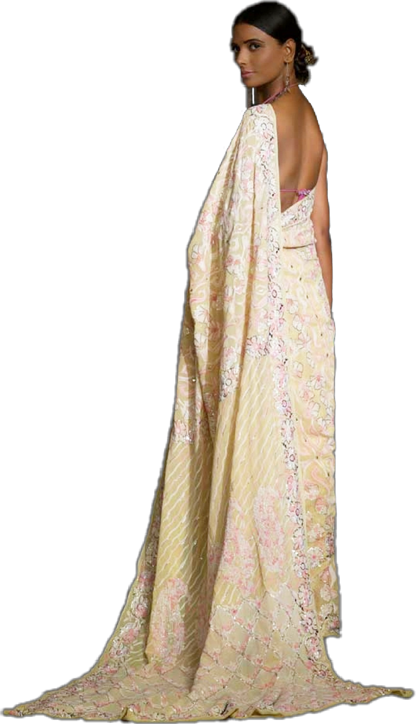 Elegant Cream Saree Model PNG