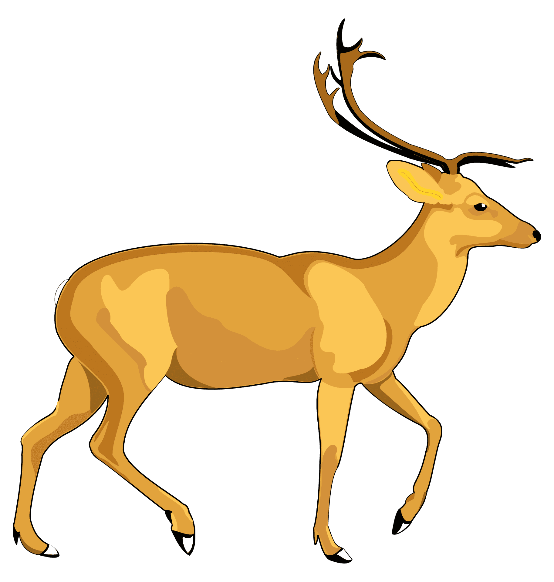 Elegant Deer Illustration PNG