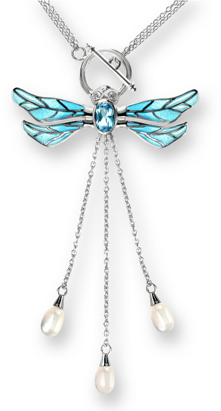 Elegant Dragonfly Pendant Necklace PNG