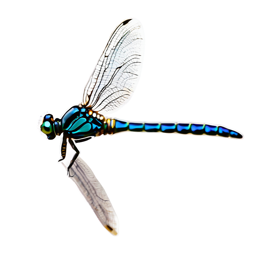 Elegant Dragonfly Png Ggs PNG