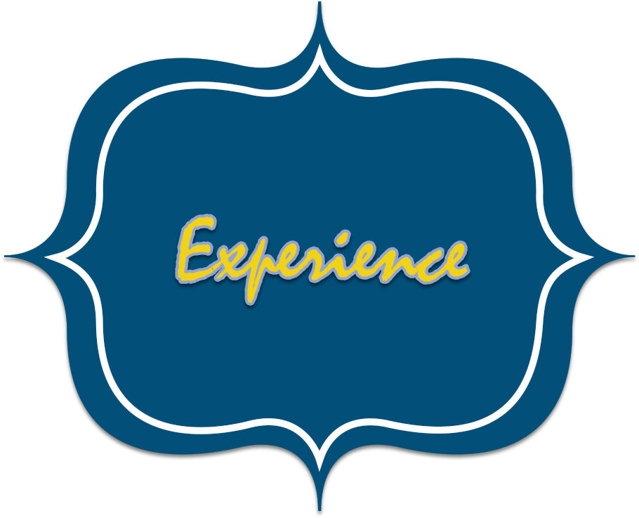 Elegant Experience Plaque PNG