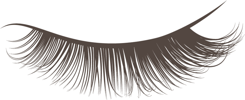 Elegant Eyelash Illustration.png PNG