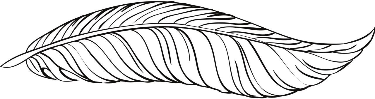 Elegant Feather Illustration PNG