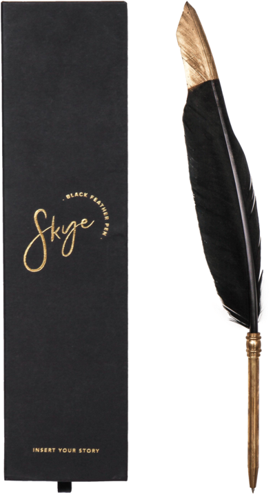 Elegant Feather Penand Book Set PNG