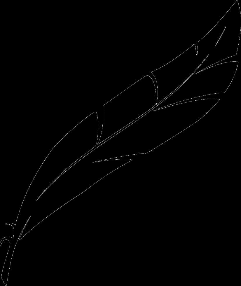 Elegant Feather Silhouette PNG