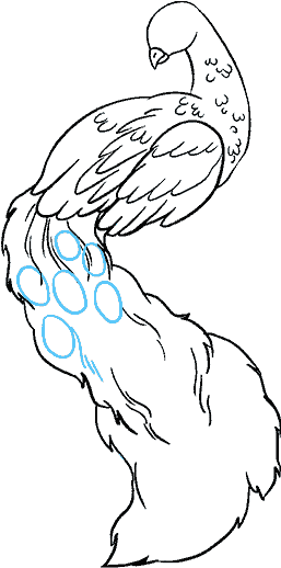 Elegant Feathered Bird Sketch PNG
