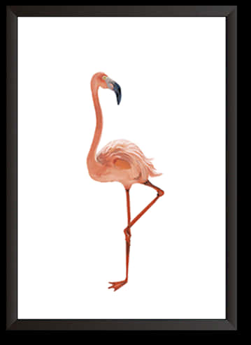 Elegant Flamingo Artwork PNG
