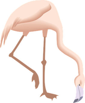 Elegant Flamingo Graphic PNG