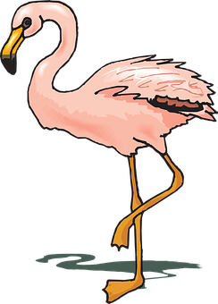 Elegant Flamingo Illustration PNG