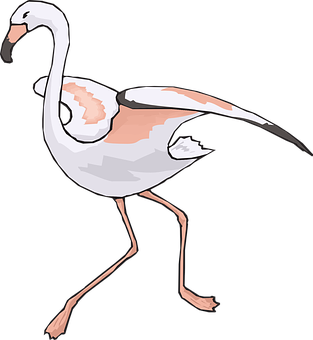 Elegant Flamingo Illustration PNG