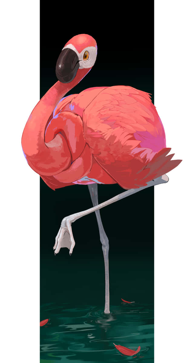 Elegant Flamingo Standing One Leg Wallpaper