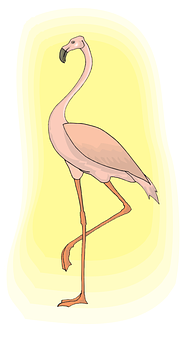 Elegant Flamingo Standing PNG