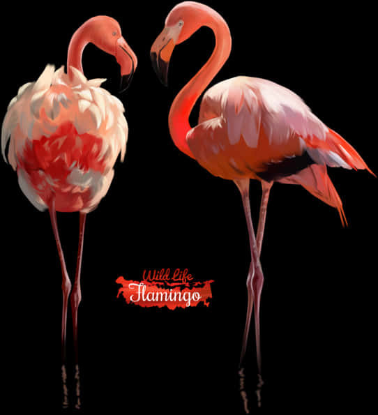 Elegant Flamingos Watercolor Art PNG