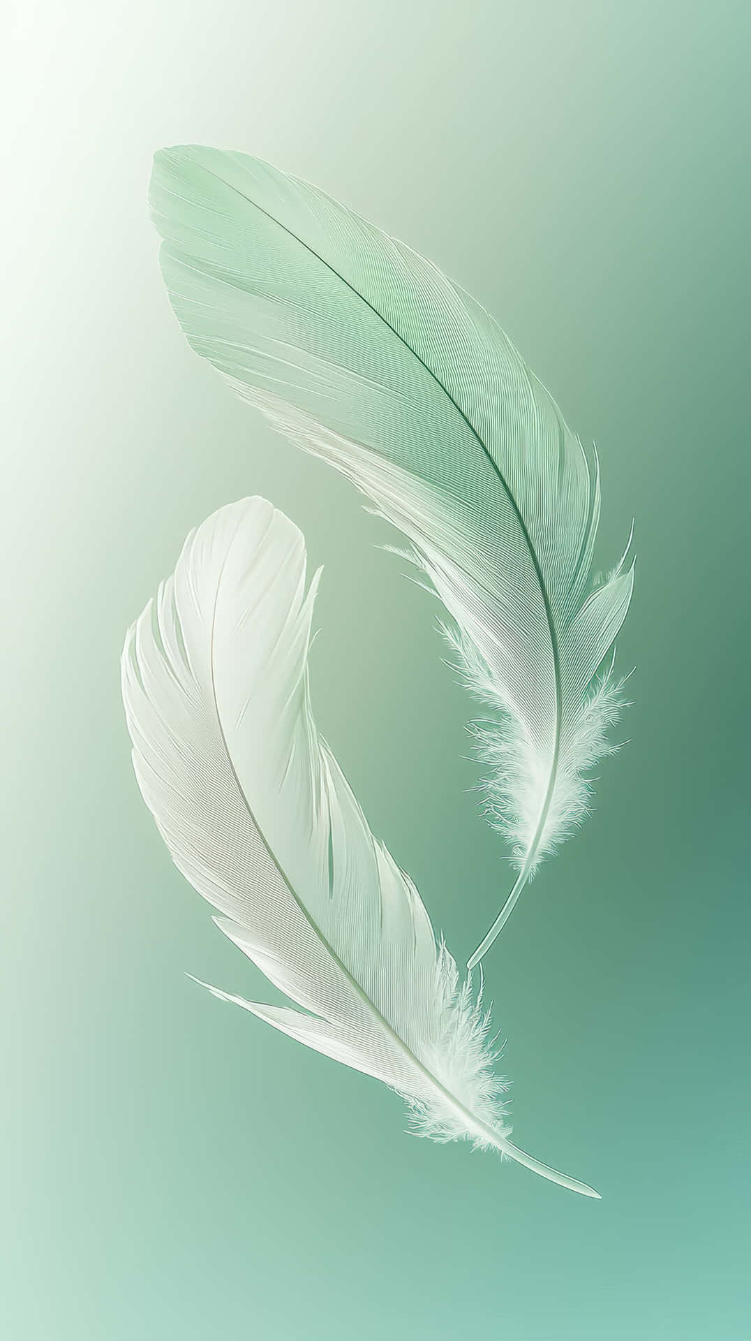 Elegant Floating Feathers On Soft Green Background Wallpaper