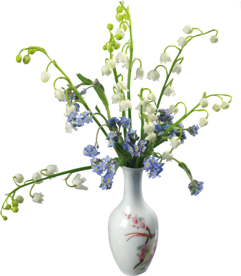 Elegant Floral Arrangementin Vase PNG