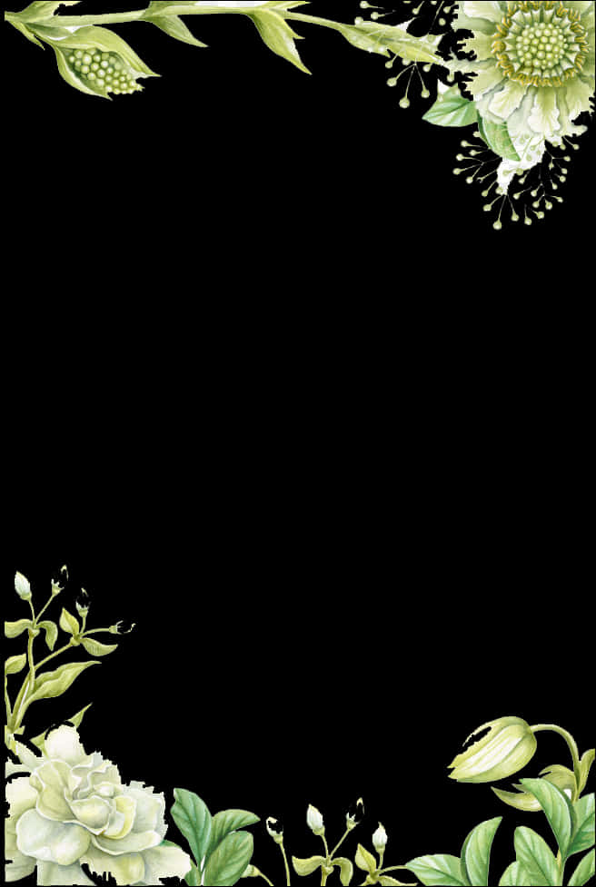 Elegant Floral Black Background PNG