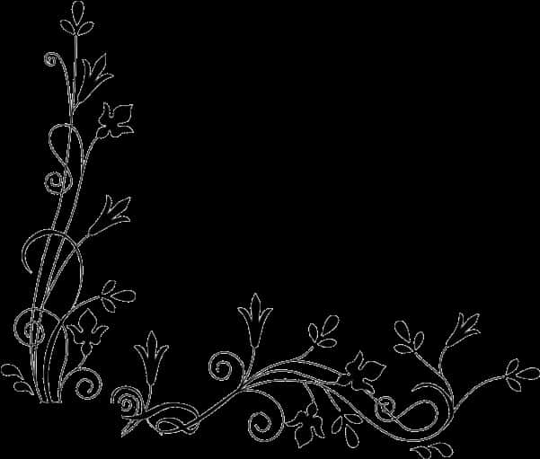 Elegant_ Floral_ Border_ Design PNG