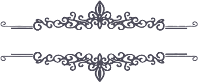 Elegant Floral Border Design PNG