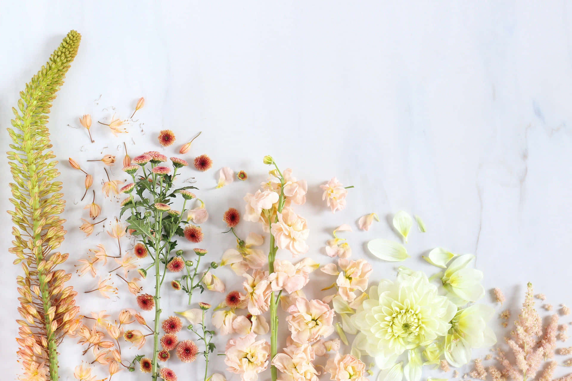 Elegant Floral Composition Marble Background Wallpaper