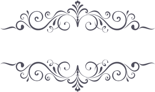 Elegant Floral Decorative Border PNG