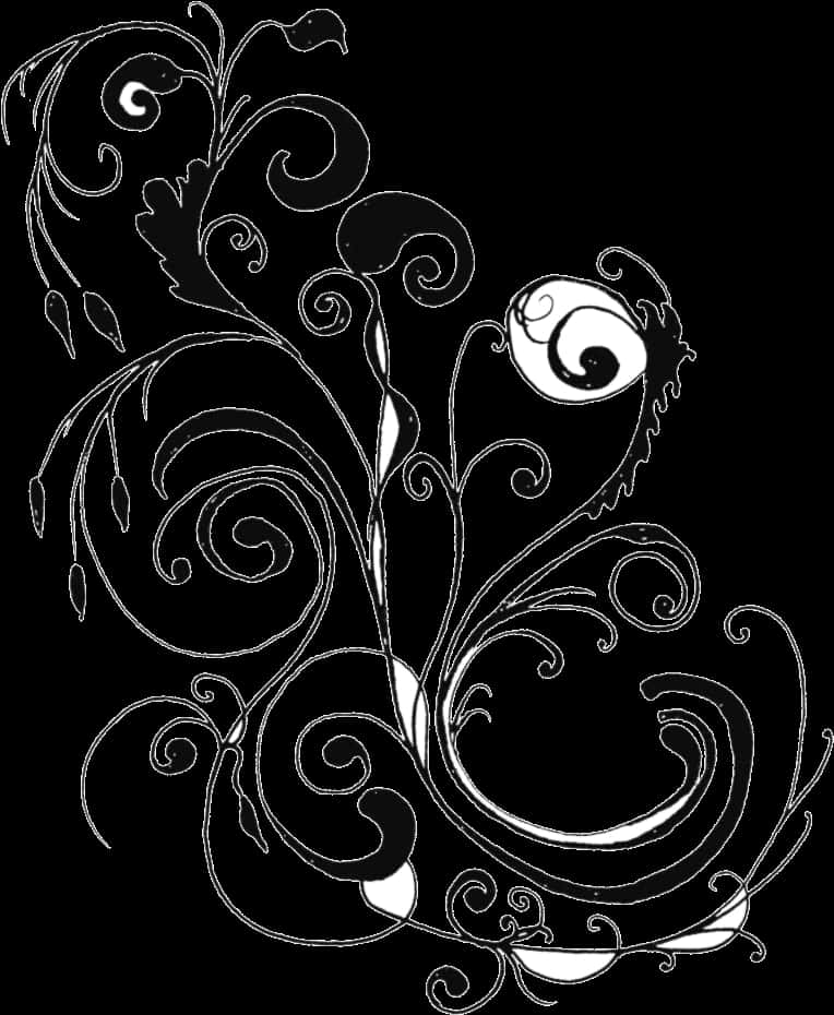 Elegant Floral Design Black Background PNG